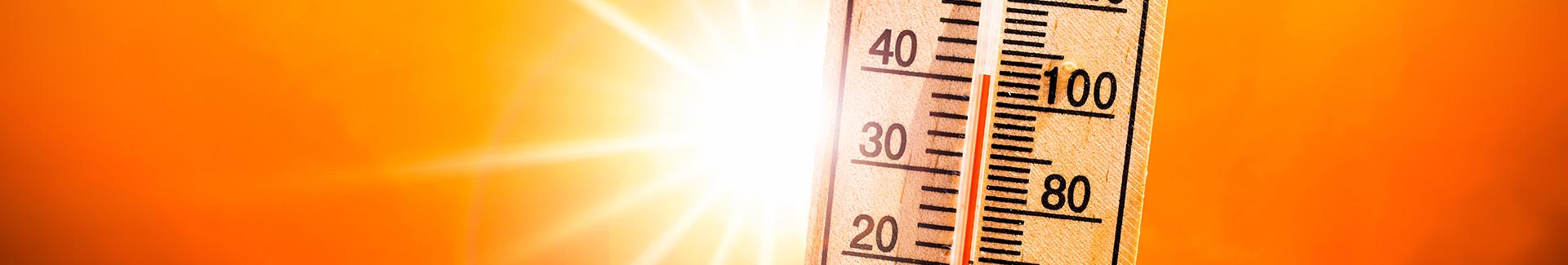 Canicule : les bons réflexes